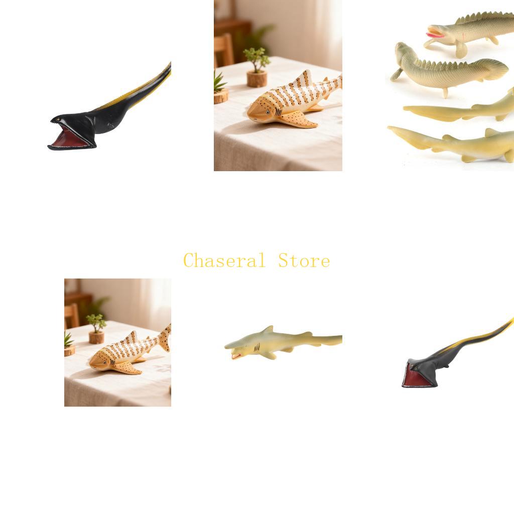 E7CE Realistic Fish Model for  - Science Exhibition Models 评论和价格