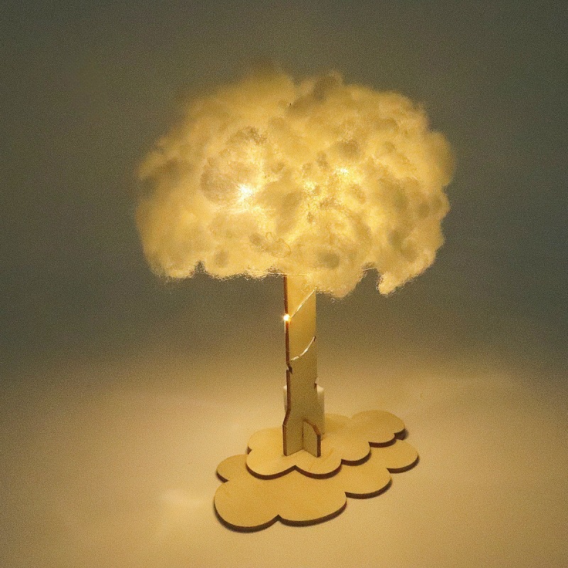 DIY Cloud Lamp Science Experim - Science Project Toys Making 评论和价格