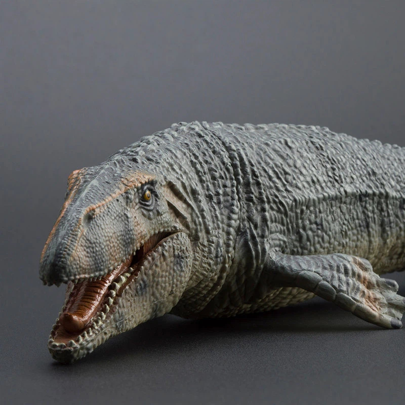 PROG Large Simulated Prognatho - Science Toys 评论和价格