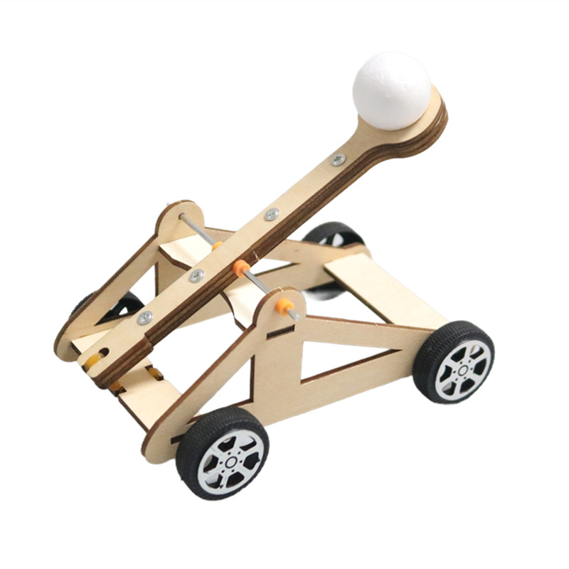 DIY Catapult Toy DIY Science E - Science Max 评论和价格