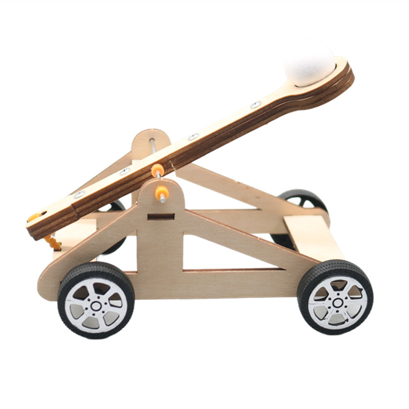 DIY Catapult Toy DIY Science E - Science Max 评论和价格