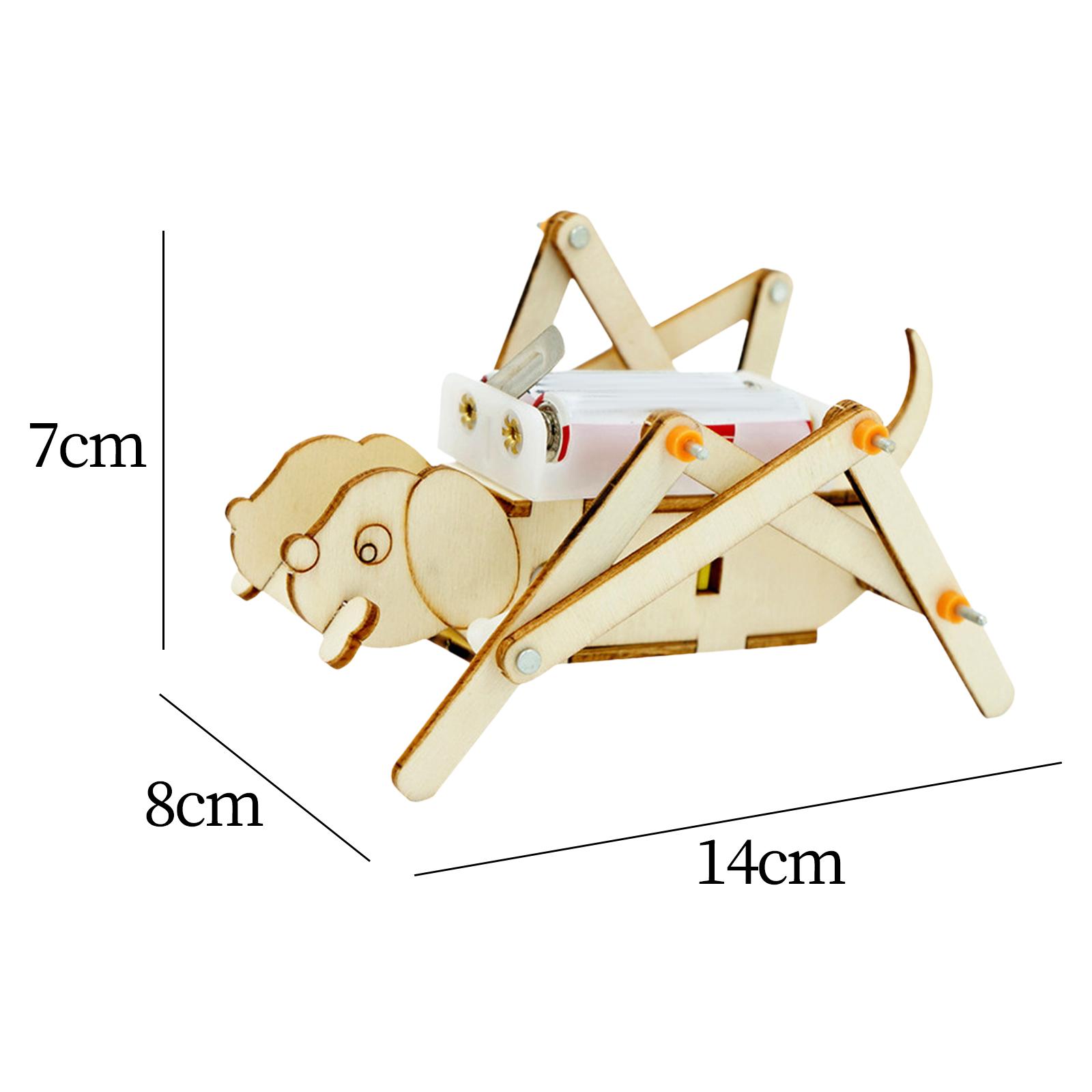DIY Wooden Model Set Science K - Science Project Toys Making 评论和价格
