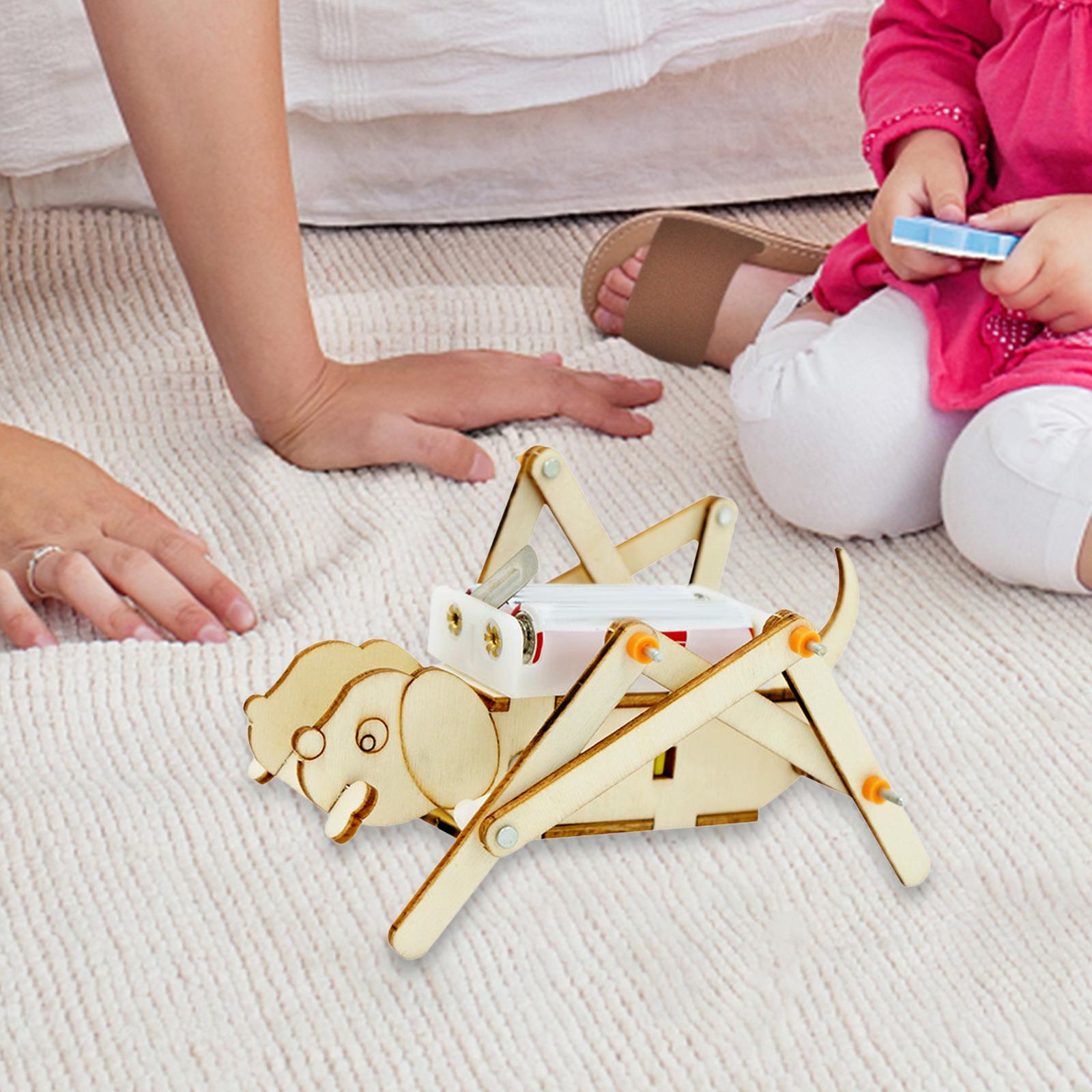 DIY Wooden Model Set Science K - Science Project Toys Making 评论和价格