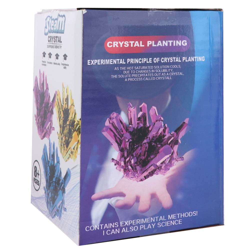 Grow a Crystal Crystal Growing - Science Toys 评论和价格