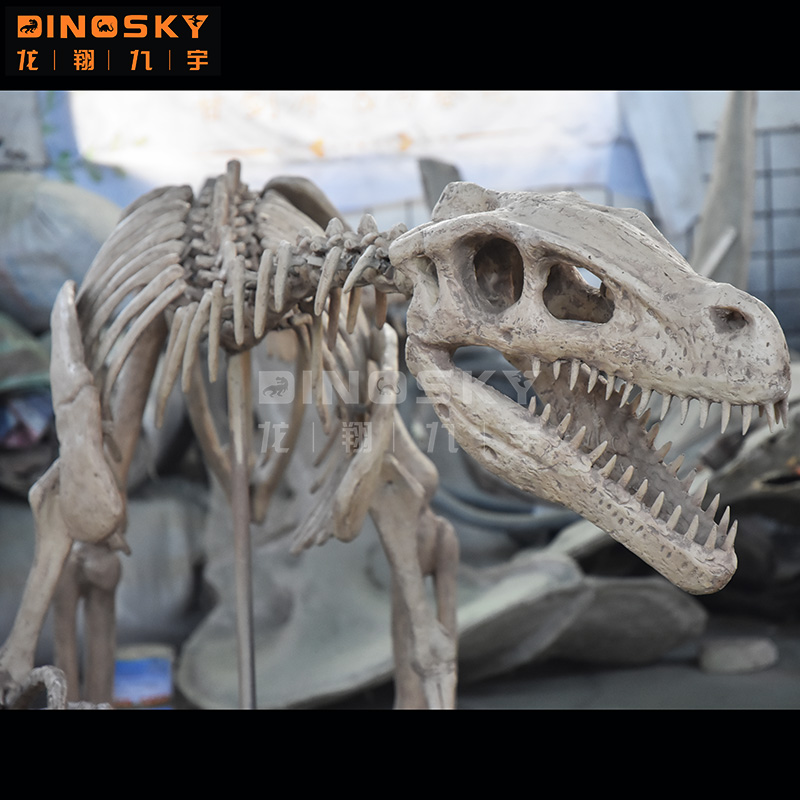ATV&UTVResin Raptor Skeleton F - Science Exhibition Models 评论和价格