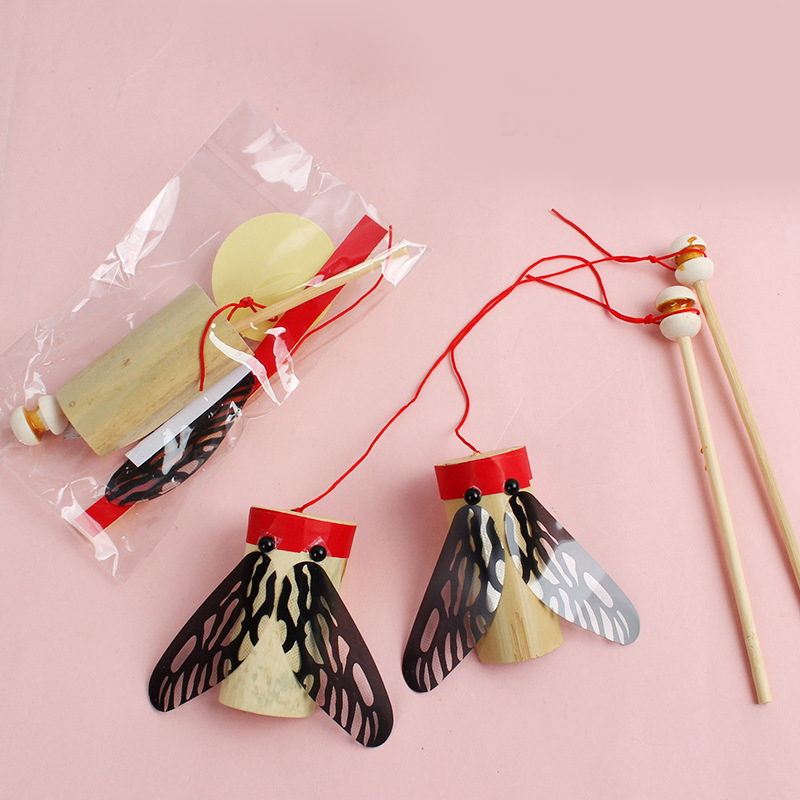 Bamboo Cicada Sound Making Toy - Science Project Toys Making 评论和价格