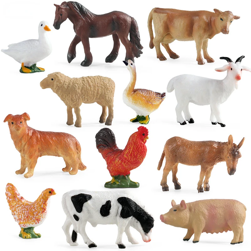 Education Teaching Tool Poultr - Science Toys 评论和价格